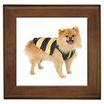 dog-photo Framed Tile