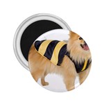 dog-photo 2.25  Magnet
