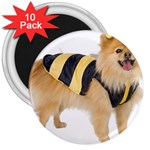 dog-photo 3  Magnet (10 pack)