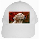 dog-photo cute White Cap