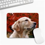 dog-photo cute Small Mousepad