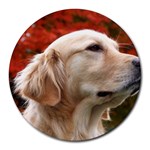 dog-photo cute Round Mousepad