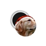 dog-photo cute 1.75  Magnet
