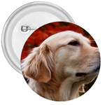 dog-photo cute 3  Button