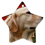 dog-photo cute Ornament (Star)
