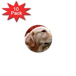 dog-photo cute 1  Mini Magnet (10 pack) 
