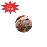 dog-photo cute 1  Mini Magnet (100 pack) 