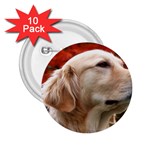 dog-photo cute 2.25  Button (10 pack)