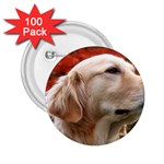 dog-photo cute 2.25  Button (100 pack)