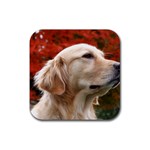 dog-photo cute Rubber Coaster (Square)