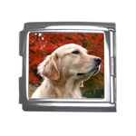 dog-photo cute Mega Link Italian Charm (18mm)