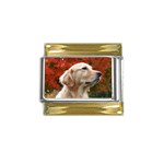dog-photo cute Gold Trim Italian Charm (9mm)