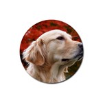 dog-photo cute Rubber Coaster (Round)