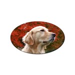 dog-photo cute Sticker (Oval)