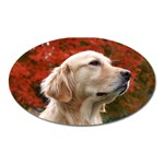 dog-photo cute Magnet (Oval)