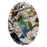 Pretty Birdies Medium Ornament (Oval)